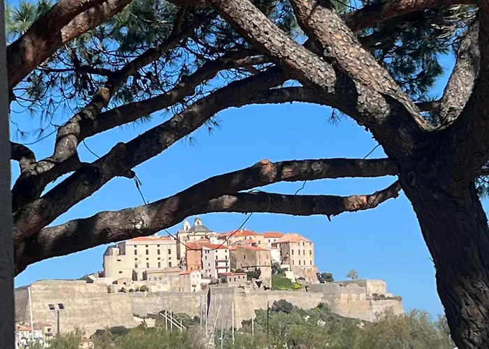 Studio Calvi Situation Exceptionnelle