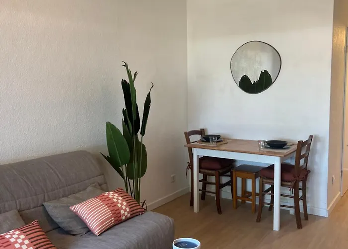 Studio Calvi Situation Exceptionnelle