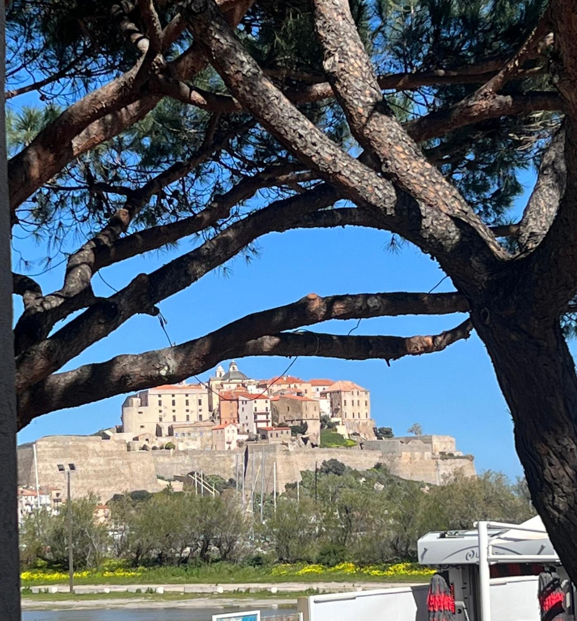 Calvi Situation Exceptionnelle